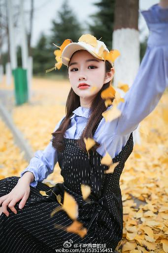 2026新澳正版资科免费实